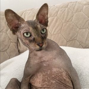 Meet your Posher, Emily